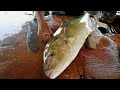 Blue Fin Trevally Fish Cutting | Fish Cutting Skills Sri lanka