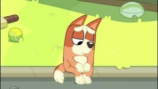 Bluey Music: Curry Quest Unknown Track [Outdated]