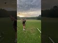Bfe Member 4L Noah Fat Chud Acoustic Golf 