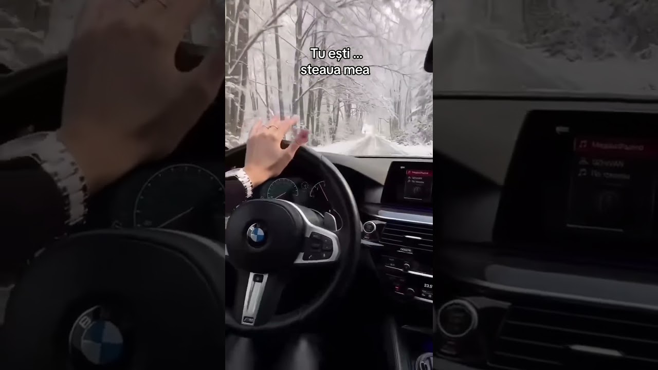 Nu știu cum s-a întâmplat….Tu ești steaua mea (2026)