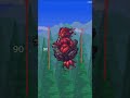 Серный элементаль мой любимый фамильяр #terraria #memes #twitch #террария #calamity