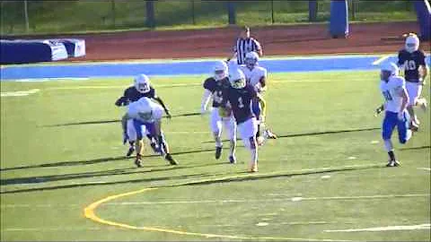 HCAC Football Play of the Week (Week 11) - Marvin ...