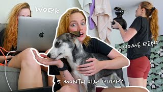 a very *real* day in my life right now // how I manage work, home renovations, and being a puppy mom