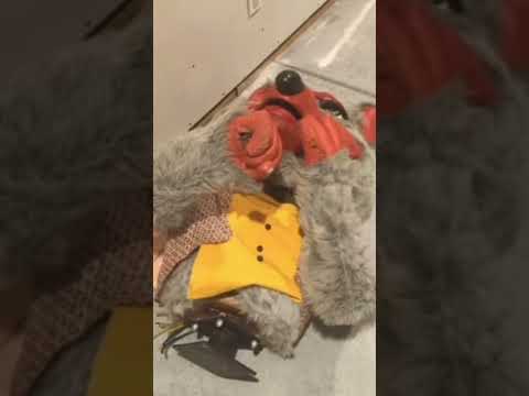 New 1977 Chuck E Cheese Footage Chuckecheese Animatronics Fnaf Shorts