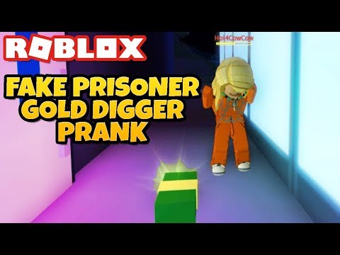 Fake Prisoner Gold Digger Prank In Roblox Jailbreak Youtube - new dominus venari vs gold diggers prank in roblox