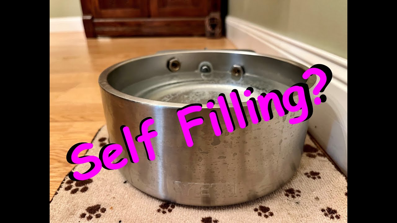 Self filling dog water bowl YouTube