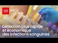 Breakthrough dtection plus rapide et conomique des infections sanguines  cealeti