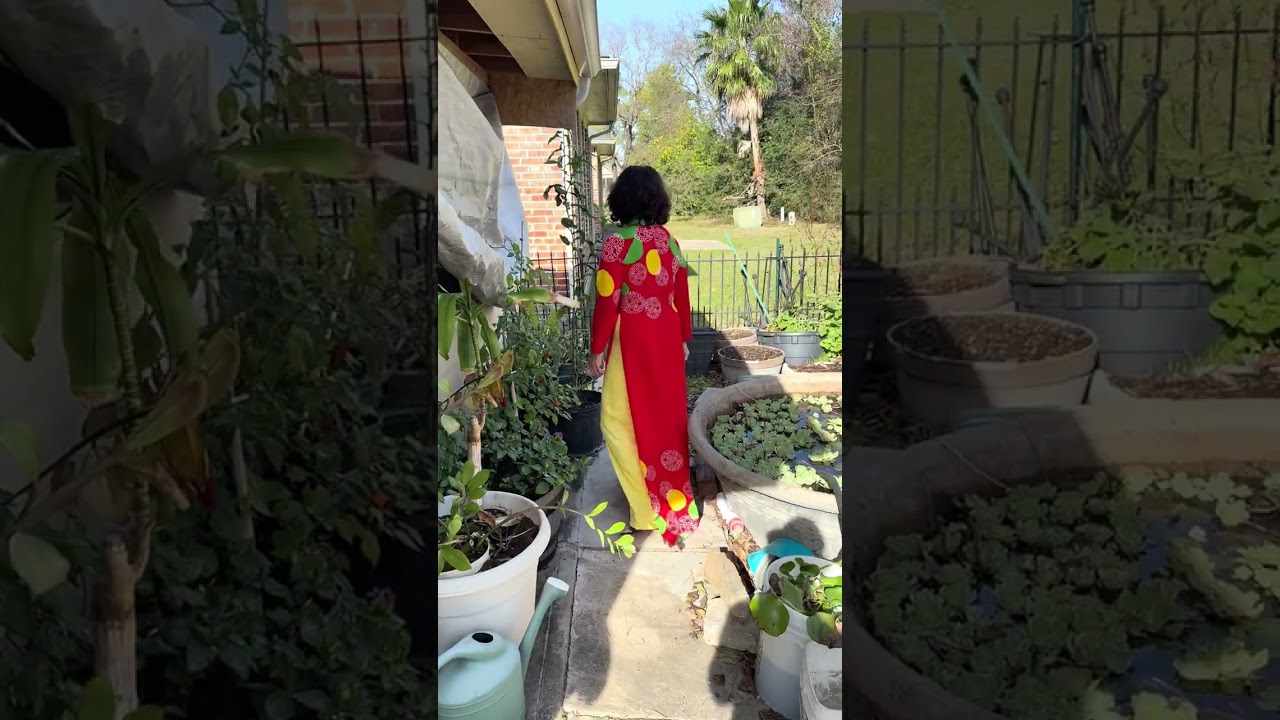 ngày 3 tháng 1, 2026