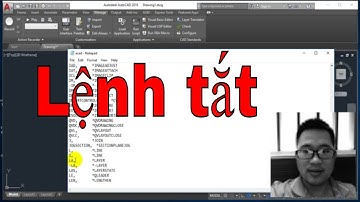 Hướng dẫn sử dụng cả lệnh tắt thay đổi và lệnh tắt mặc định trong AutoCAD | Nguyễn Thanh Dũng (NTD)