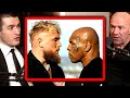 Dana white on mike tyson vs jake paul  lex fridman podcast clips