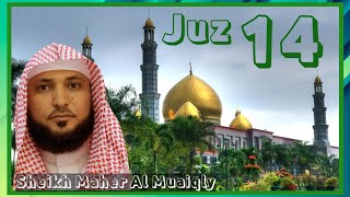 Juz 14 Sheikh Maher Al Muaiqly