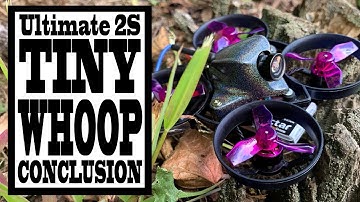 Ultimate 2S Tiny Whoop Build 2019 - The Conclusion