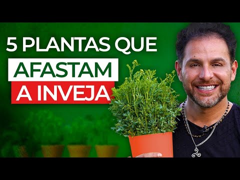 5 PLANTAS QUE AFASTAM INVEJA, ESPÍRITOS RUINS E ENERGIAS PESADAS / Daniel Atalla