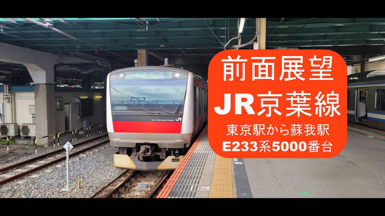 東京 駅 から 蘇我 駅