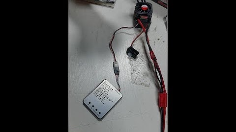 SURPASS HOBBY Program Card