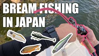 Japanese Bream Fishing Techniques? | Boat “Structure Fishing” & Topwater Run & Gun