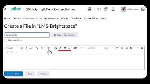 How to Use the HTML Editor in D2L Brightspace