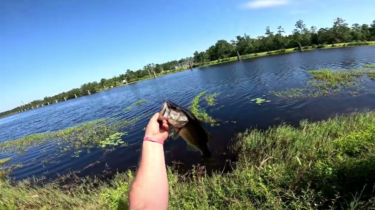 CHILL BASS FISHING