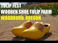 Tulip Fest, Wooden Shoe Tulip Farm, Oregon - 2015 Tulip Fest, Wooden Shoe Tulip Farm, Oregon - 2015