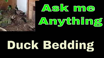 What can I use for duck bedding?