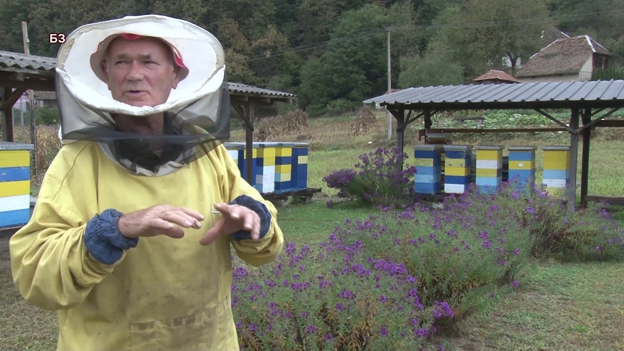 Neverovatan PCELAR - PARCE NAJLONA za efikasnije zazimljavanje PCELA