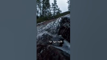 سورة عبس بصوت طارق محمد ♥️#القرآن الكريم #سورة عبس.