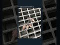 [神回]爆笑！ツイートにアフレコしてみたwwwww#Twitter