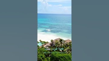 سورة ق و،.كا.نك تسمعها لأ،.و.ل مر.ة💕💙؛،🧡💛،.💗؛🌺💮بصوت الشيخ حمزة مد؛بو.ح ❣️💟.؛💘🧡🌻،.💚💞🌷