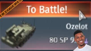 Your Ozelot Experience