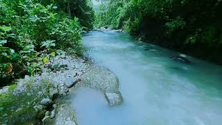 Nature's Binaural Beats: Enhanced by the River's Rhythm