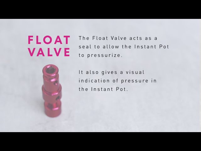 The Instant Pot Float Valve