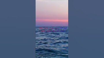 سورة البقرة اية 207 - مع صوت البحر بصوت جميل - وَمِنَ النَّاسِ مَن يَشْرِي نَفْسَهُ