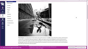 Peer Review Assignment