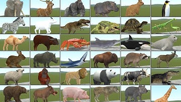 I Played Death Match Game With All ZOOCHOSIS MUTATED ANIMALS In Garry