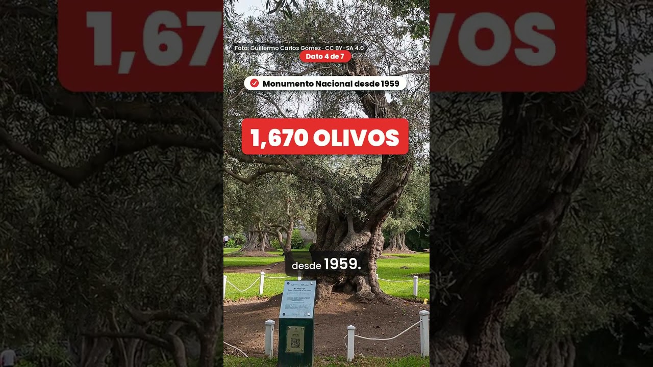 Video: ¿Cuánto está el metro cuadrado en San Isidro? Precio del m² 2026 y 7 datos para vivir en San Isidro