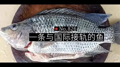 【一席】韩寒：如何年年有渔？ - 天天要闻