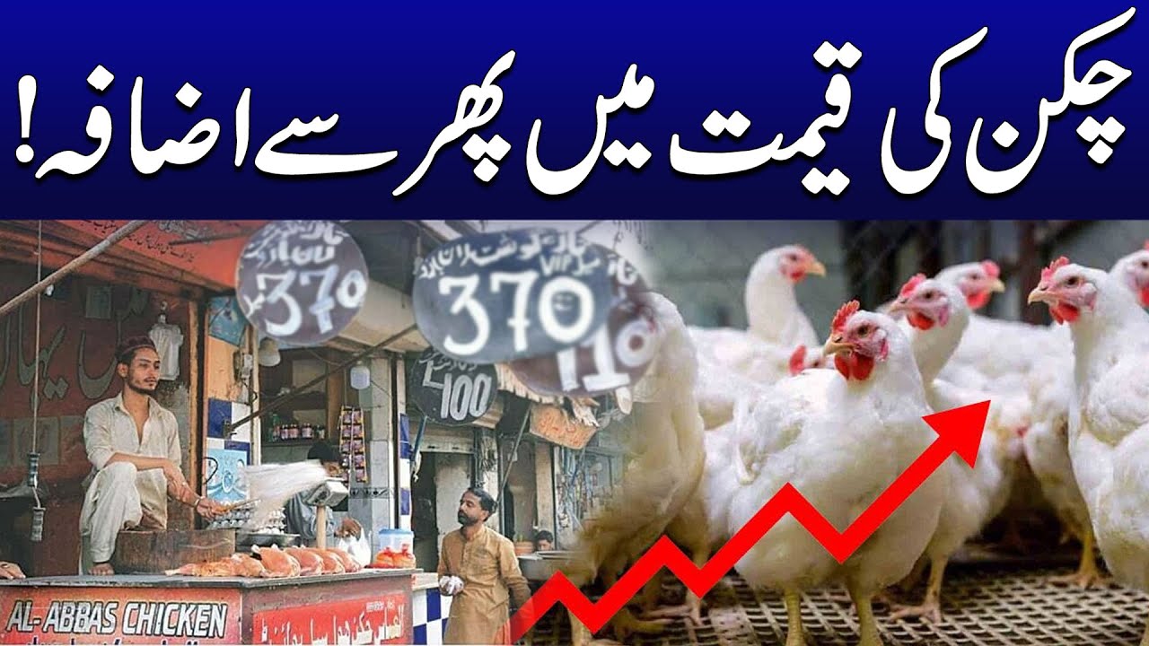 Chicken Prices Again Increased | Rate List | Breaking News | City 41