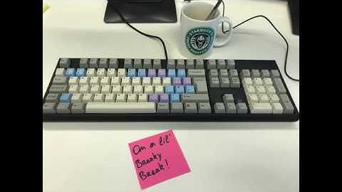 LiveCoding in Elm - Petindr -Part 5 - UnitTesting