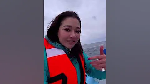 Whale Thanks Rescuer for Cutting Fishing Line from...