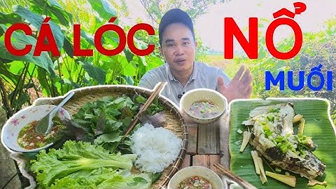 Làm CÁ LÓC NỔ MUỐI HỘT ĐẬM VỊ miền tây đồng quê dân dã - 1990VLOGS