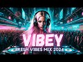 Vibey house mix 2024 fresh vibes