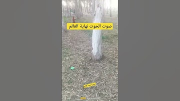 تلاوة خاشعة ومؤثرة #فيسبوك #سورة_الكهف #القران_الكريم #تلاوة_خاشعة #religion #الجزائر #سورة_البقرة