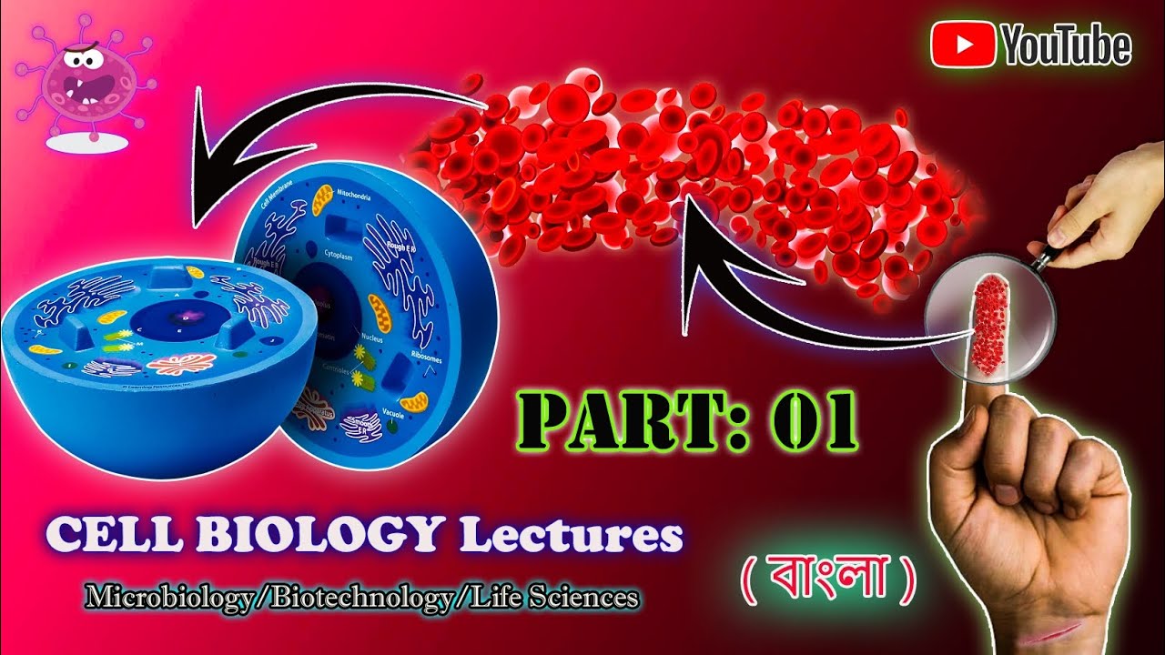 Prokaryotic Cells & Eukaryotic Cells Difference | Cell Biology Lecture Part 01 | Cytology | বাংলায়🦠