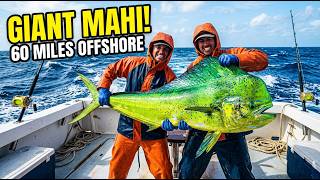 Deep Blue Obsession: Hunting Giant Mahi Mahi 60 Miles Offshore 🐟🌊