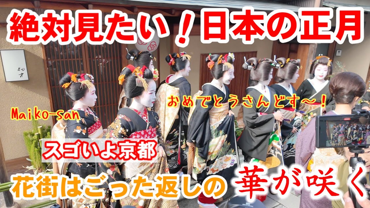 1/5(日)絶対見たい日本の正月！芸妓舞妓さんでごった返す新年の京都に外国人も感激【京都五花街宮川町新年挨拶まわり】Geisha and maiko New Year's greetings