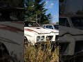 1970 GTO Judge sitting in a junkyard. #barnfind #automobile #restoration #gto #musclecar