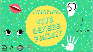 Five Senses Friday - DIY Playdough