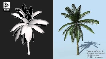 Tropical Palms 3D model from CGTrader.com
