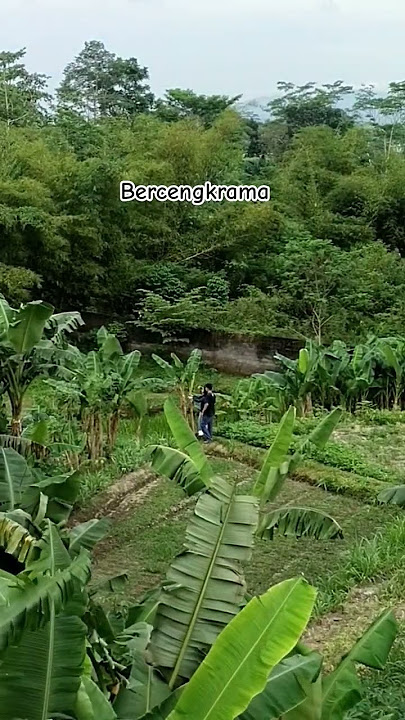 Bercengkrama