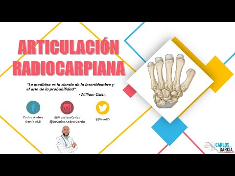 Vídeo: Articulación Radiocarpiana: Tipo, Función, Anatomía, Diagrama Y Causas Del Dolor